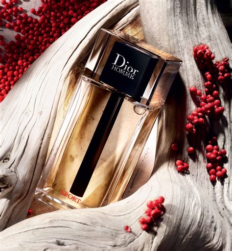 nouveauté dior